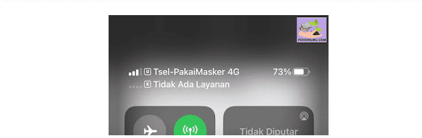 Cara Mengatasi eSIM Tidak Ada Layanan di Iphone