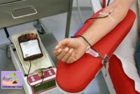 Manfaat Donor Darah
