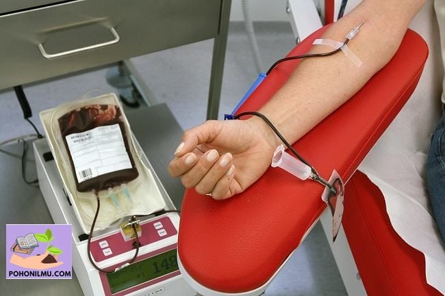 Manfaat Donor Darah