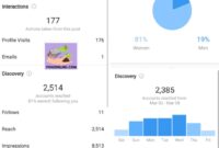 Cara Melihat Insight Engagement Instagram Orang Lain