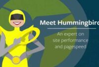 Kelebihan Plugin Hummingbird by WPMU DEV