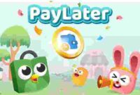 Tips Terhindar dari Denda Pinjaman PayLater Dan Pinjol