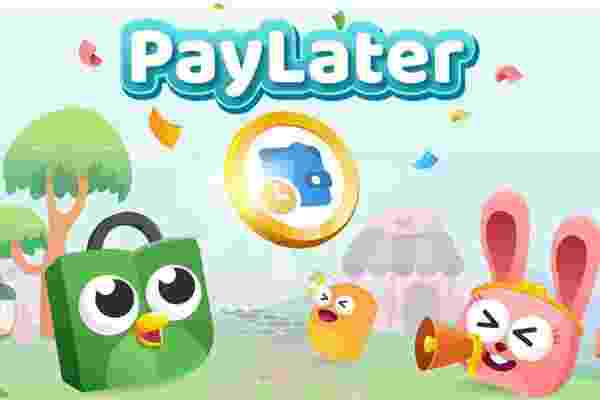 Tips Terhindar dari Denda Pinjaman PayLater Dan Pinjol