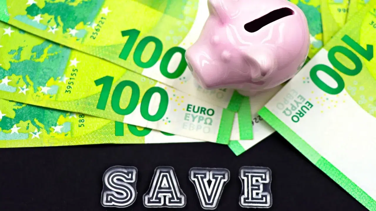Emergency Fund Piggy Bank