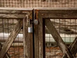 Padlock Cyber Security