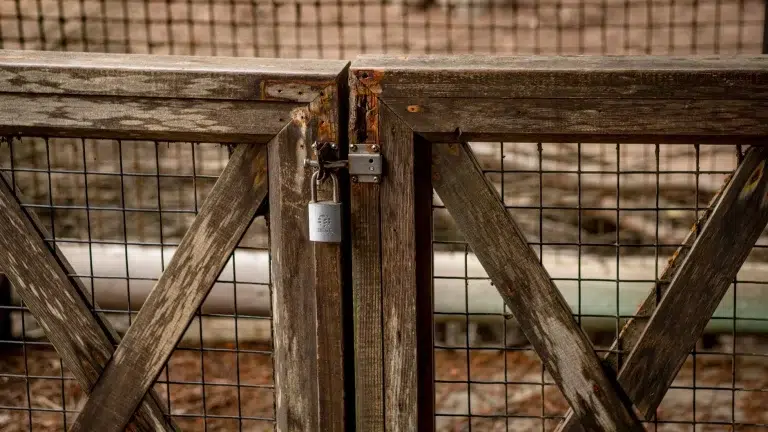Padlock Cyber Security